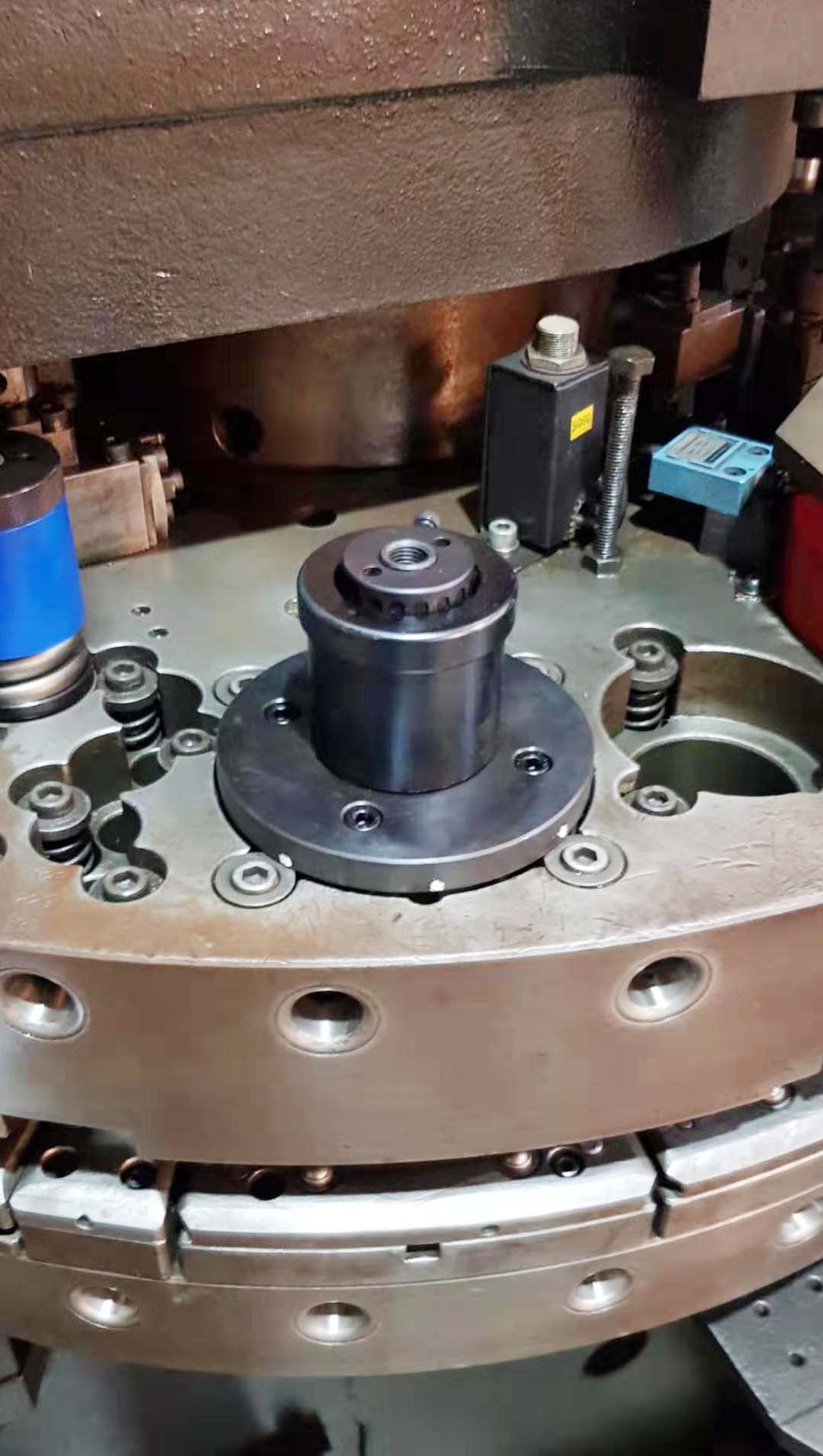 Nauled Srl 2